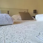 The Windows House